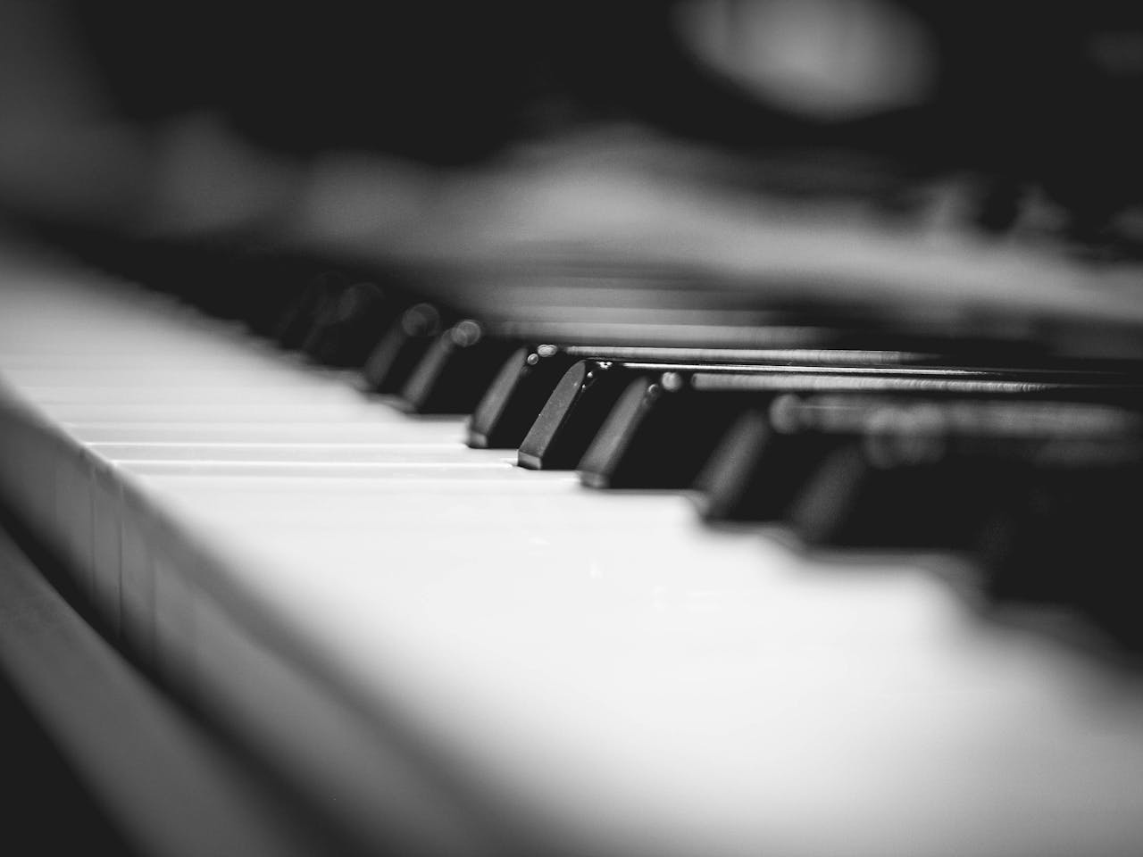 pexels-photo-586415-586415.jpg